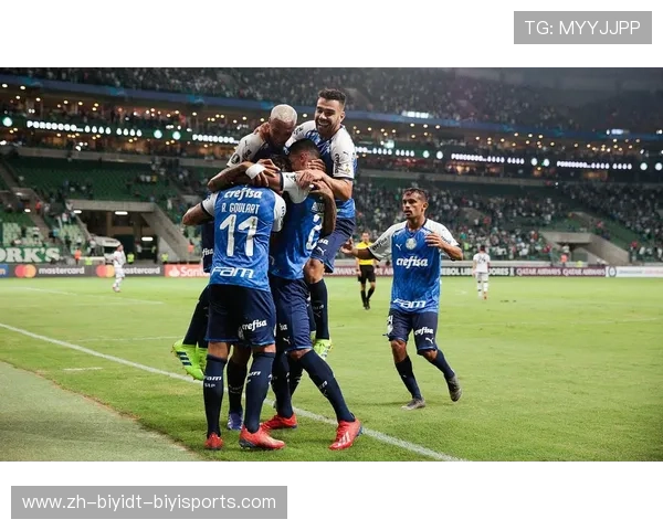 追踪巴西甲级联赛最新比赛结果